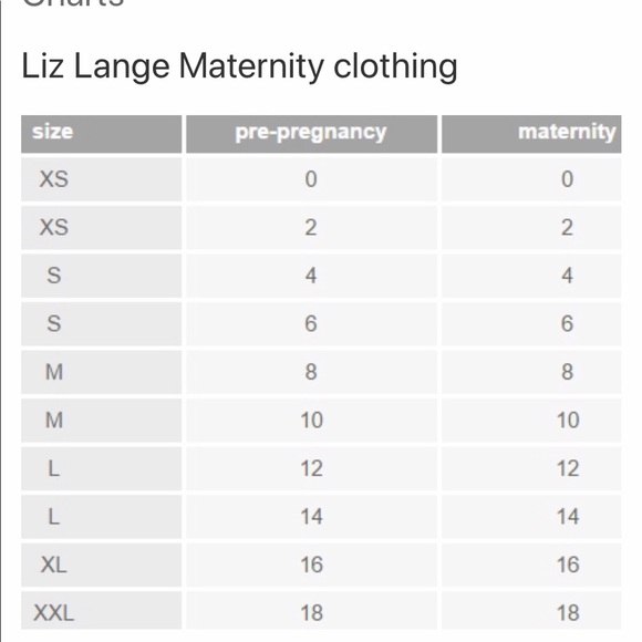 Liz Lange Maternity Pants size small - Picture 8 of 16